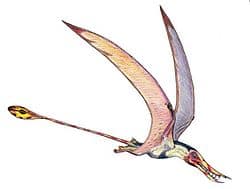 Dinosaurios voladores: Los Pterosaurios – Dinosaurios