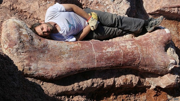 femur de un dinosaurio gigante encontrado en la patagonia