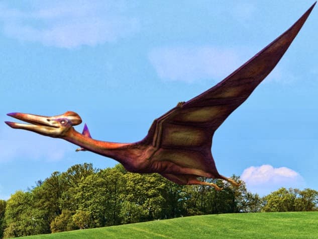 Pterosaurios-reptiles-voladores