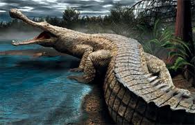 sarcosuchus, el cocodrilo gigante
