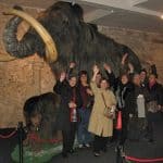 Museo del mamut de Barcelona