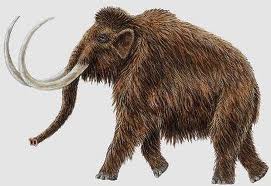 características del mamut prehistórico