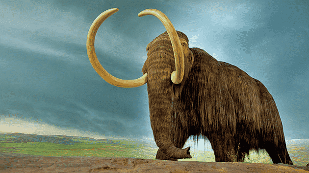 mamut prehistórico