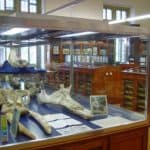 Museu Geologic del Seminari de Barcelona