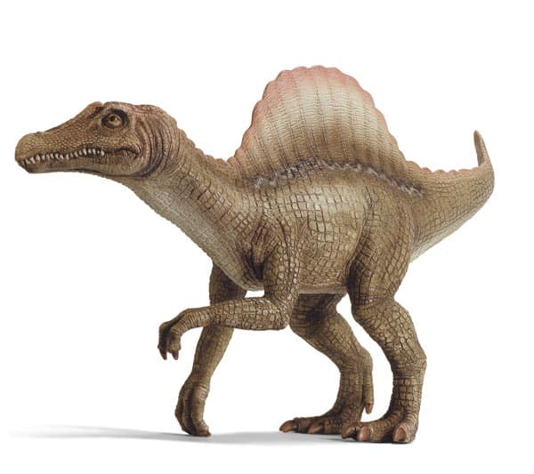 Clases de dinosaurios – Dinosaurios