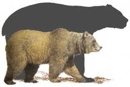 el oso prehistórico