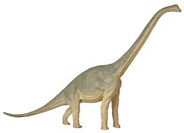 dinosaurio de cuello largo