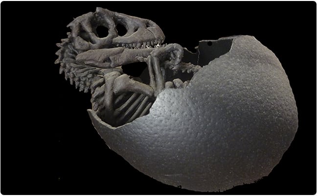 simulación 3d del nacimiento de un dinosaurio con los restos fósiles