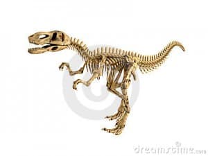 esqueleto de tyrannosaurus rex