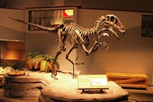 museo de dinosaurios con especímenes a tamaño real