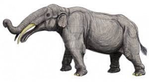 dibujo gráfico de un elefante prehistórico
