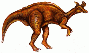 ornitópodo según semejanza de los fósiles encontrados