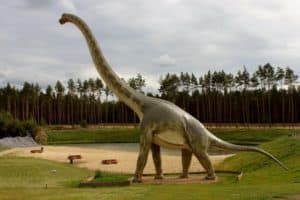 Dinosaurios con cuello largo – Dinosaurios