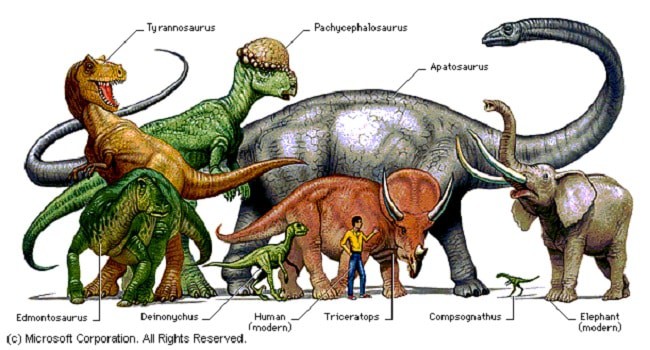 Dinosaurios grandes y dinosaurios pequeños – Dinosaurios
