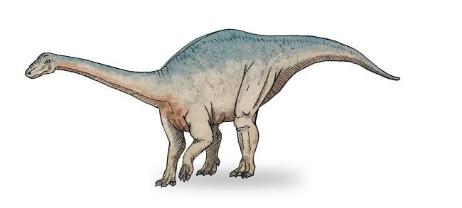 Dinosaurio Riojasaurus – Dinosaurios