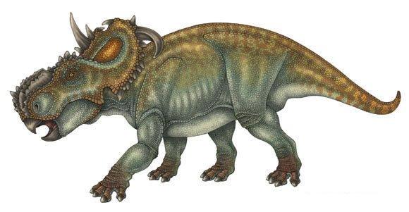 Pachyrhinosaurus en su habitat natural