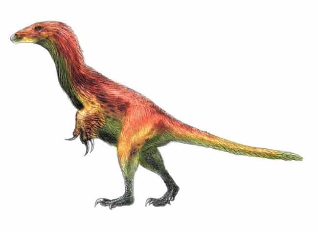 beipiaosaurus