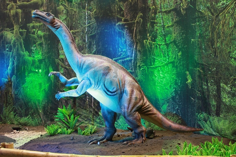 plateosaurus el tiro murcia
