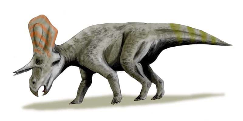 recreacion zunitoceratops