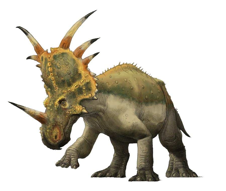 como convivia y como se comportaba con el resto el styracosaurus