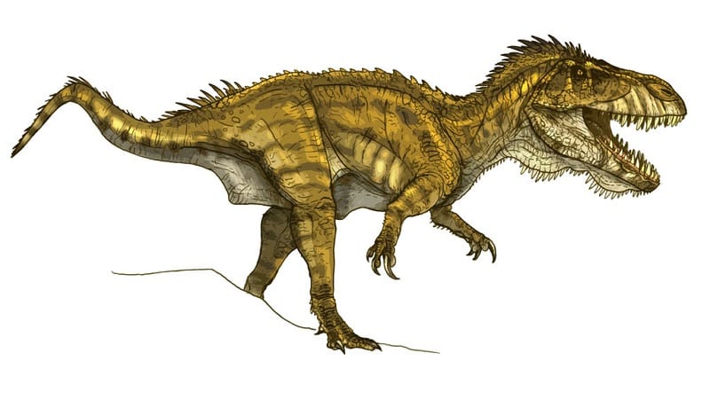 torvosaurus