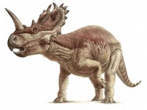 Lista de Dinosaurios con cuernos en la cabeza – Dinosaurios