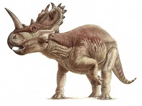 como era el centrosaurus, de que se alimentaba y como vivia