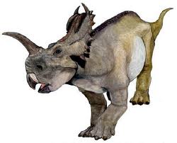 rinoceratops