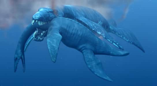 ferocidad y letalidad del pliosaurio en combate