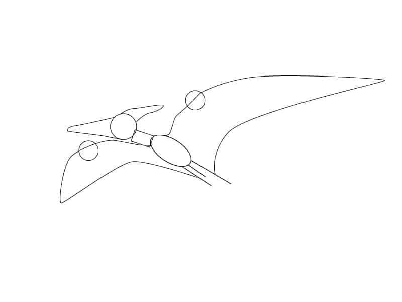 Cómo dibujar un Pteranodon