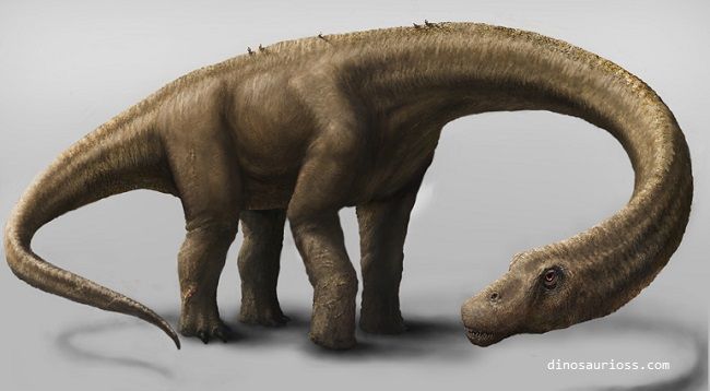 Saurópodo Titanosaurio