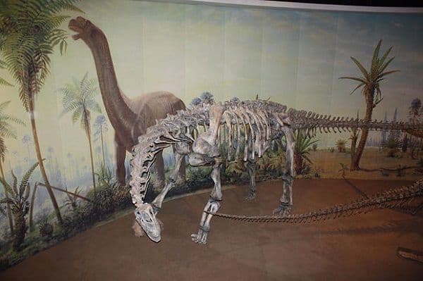 Camarasaurios y sus vértebras huecas
