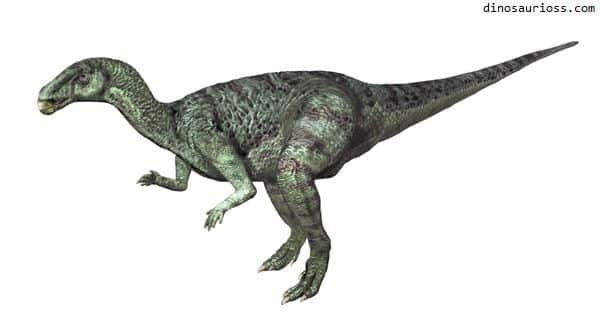 Camptosaurus - Lagarto flexible