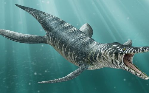 Kronosaurus, el depredador de los mares – Dinosaurios