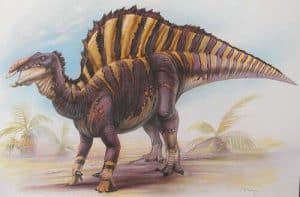 Dinosaurios raros – lista – Dinosaurios