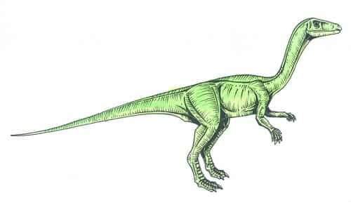 procompsognathus un dinosaurio muy pequeño