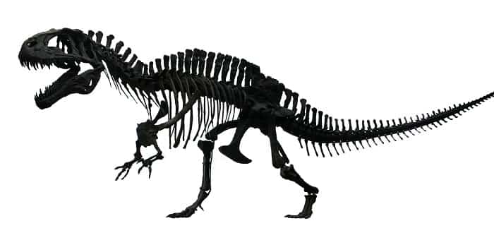 Características del Acrocanthosaurus