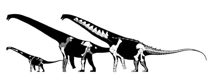 Características del Alamosaurus