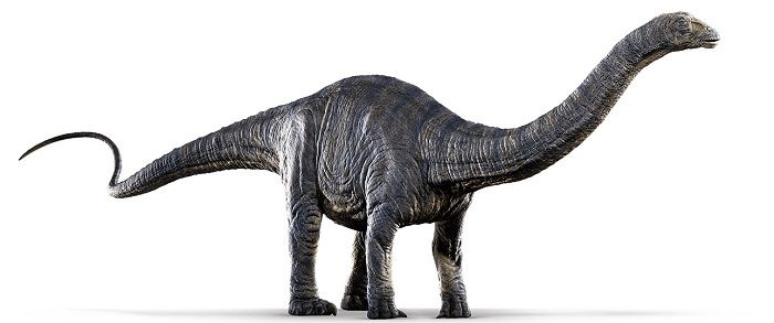 Descripción del Apatosaurus