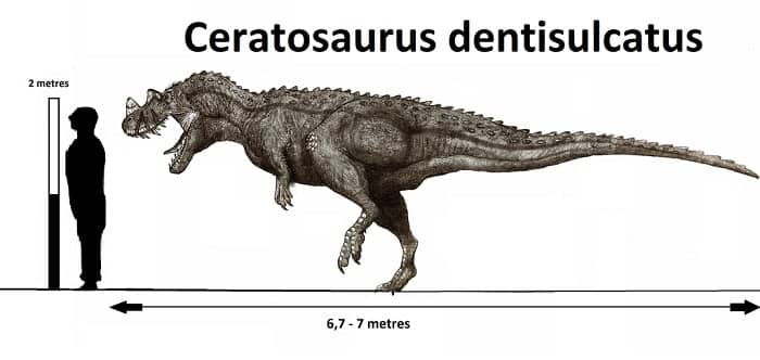 Descripción del Ceratosaurus