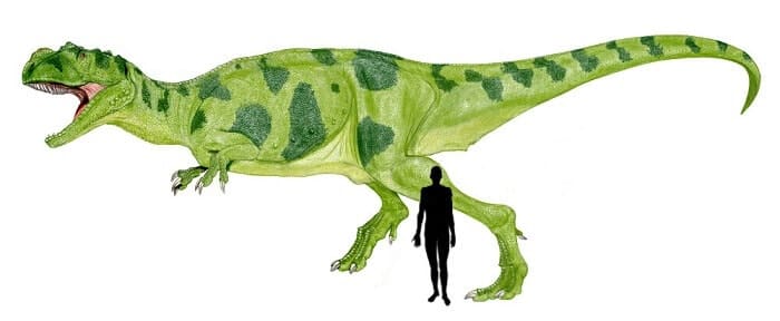 Descripción sobre el Metriacanthosaurus