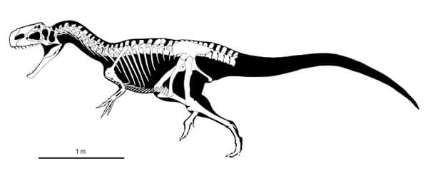 Descripción del Monolophosaurus