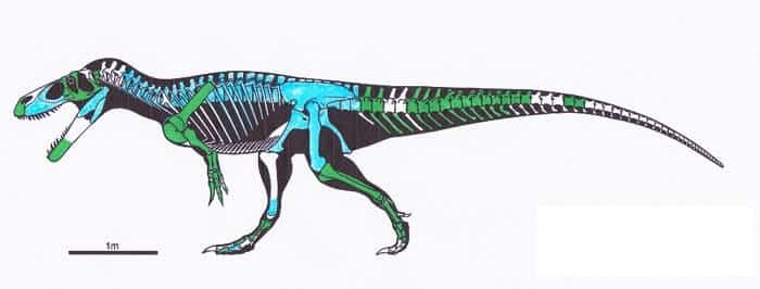 Descripción del Torvosaurus