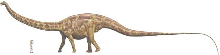 Tamaño del Ultrasaurus