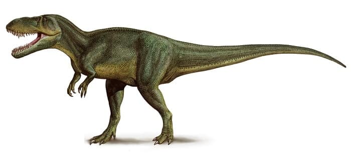 Dibujo de un Torvosaurus