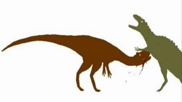 Diferencias entre Giganotosaurus y Acrocanthosaurus