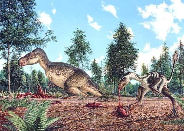 habitat-gorgosaurus