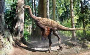 Habitat Ornithomimus
