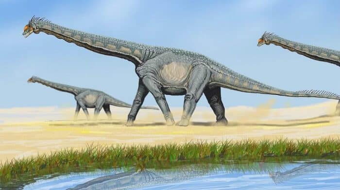Hábitat natural de Titanosaurus