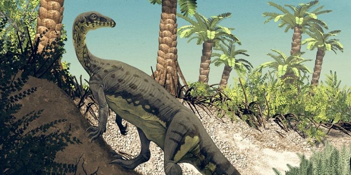 Historia sobre el Anchisaurus